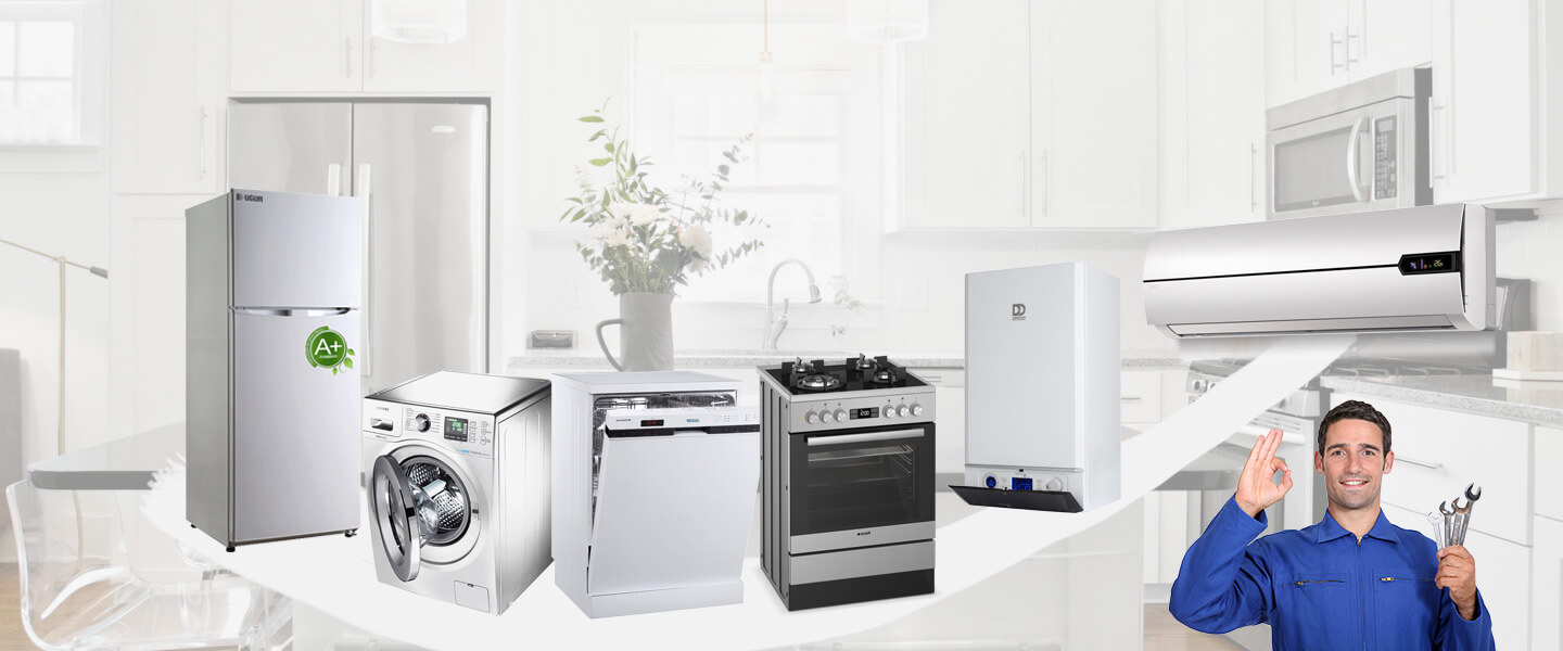 Çamlıdere Smeg Servisi